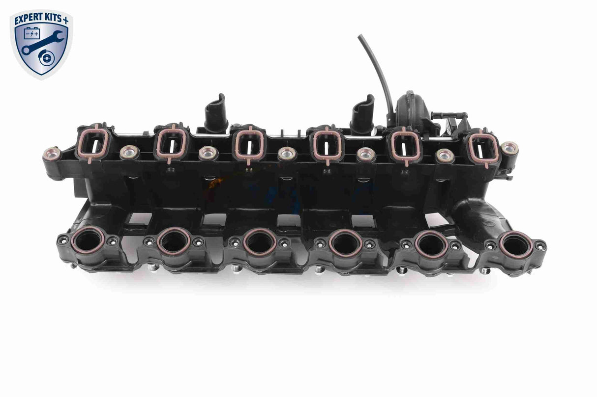 Intake Manifold Module - V20-3002