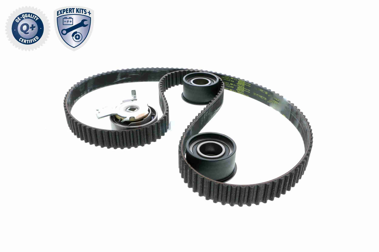 Timing Belt Kit - V40-0629