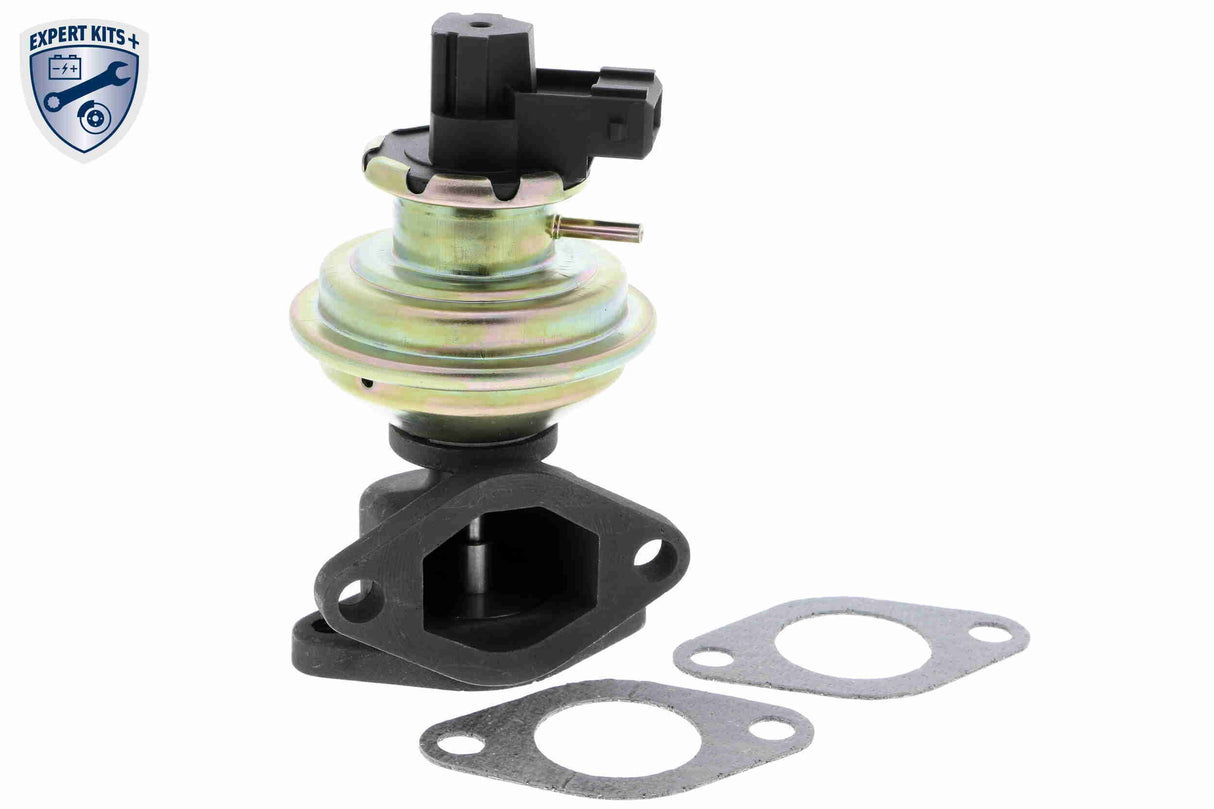 Valve, exhaust gas recirculation - V48-63-0001