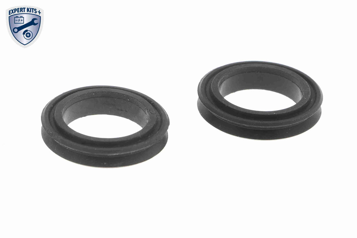 Oil Cooler, engine oil - V20-60-0001