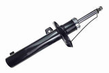 Shock Absorber - V10-6979