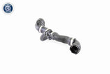Radiator Hose - V20-1266