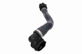 Radiator Hose - V22-1403
