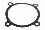 Gasket, throttle body - V10-81-0129