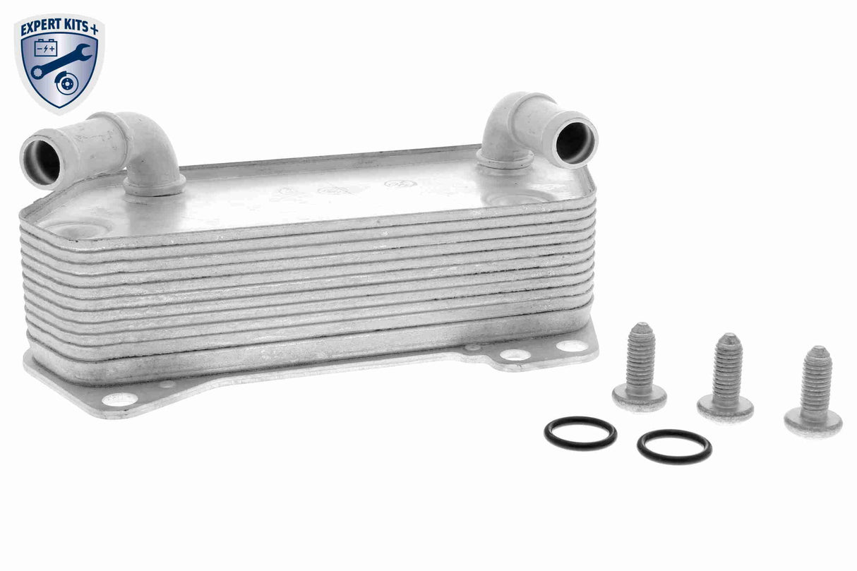 Oil Cooler, automatic transmission - V10-60-0042