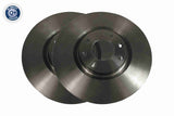 Brake Disc - V42-80021