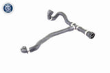 Radiator Hose - V20-1324