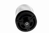 Air Suspension Strut - V20-50-0018-1
