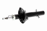Shock Absorber - V10-6977