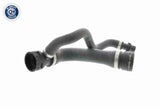 Radiator Hose - V20-1768