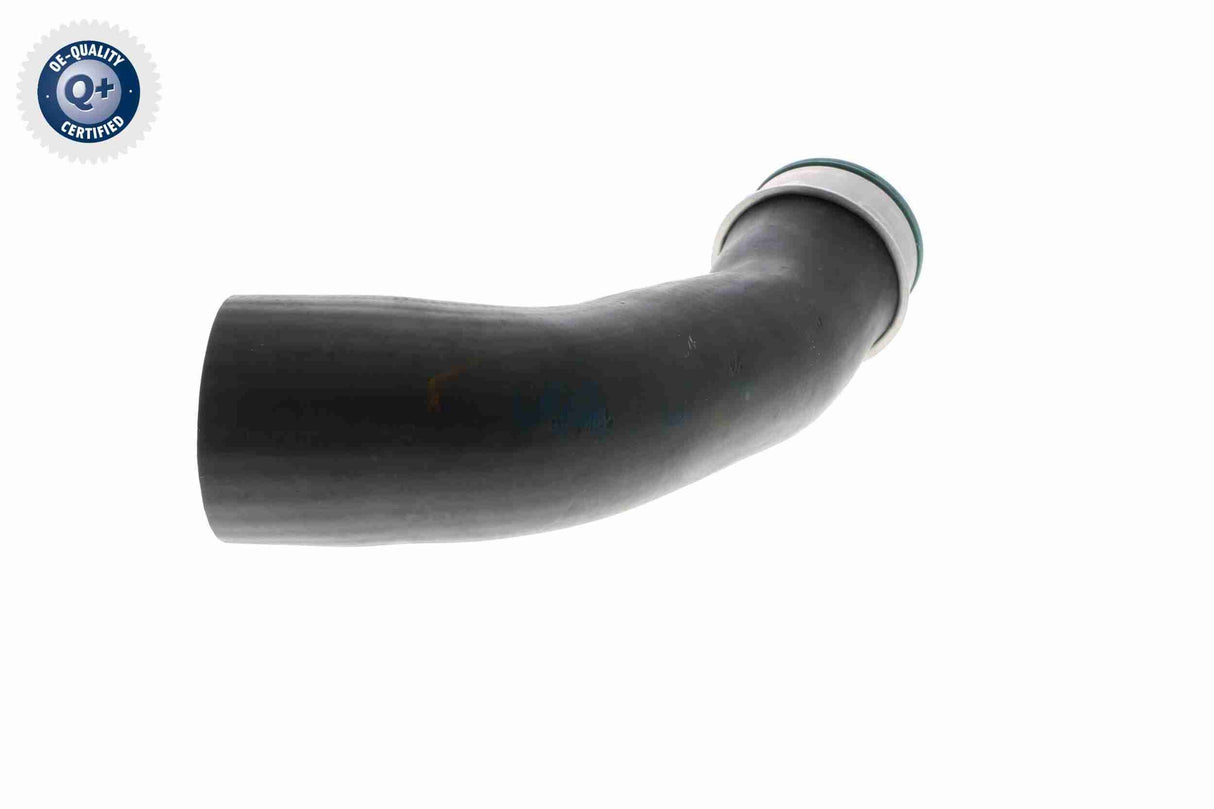 Charge Air Hose - V10-2834