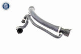 Radiator Hose - V20-1765