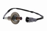 Oxygen Sensor - V63-76-0004