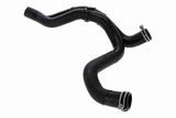 Radiator Hose - V10-000120