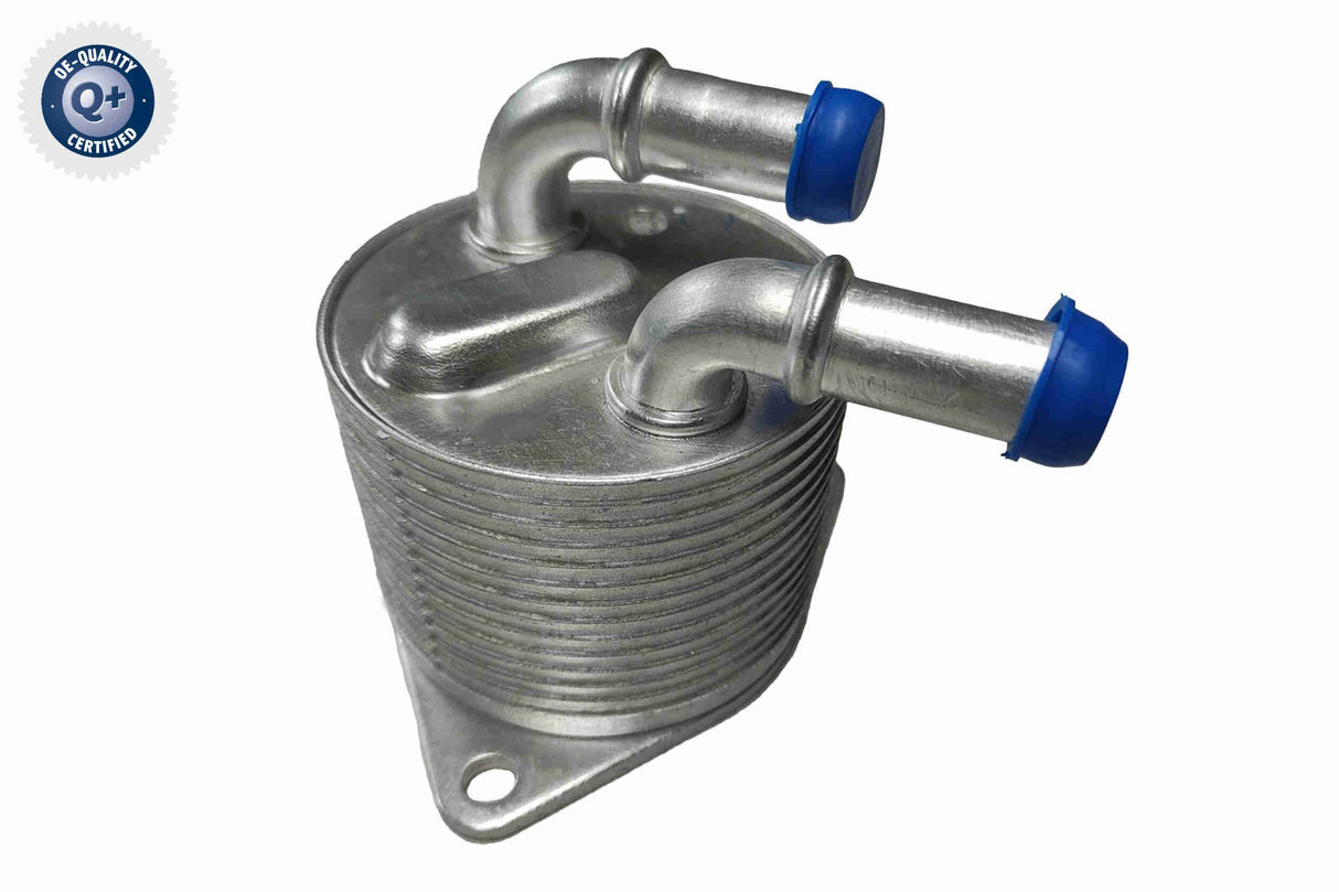 Oil Cooler, automatic transmission - V42-60-0019