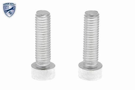 Hydraulic Filter, multi-plate clutch (all-wheel drive) - V25-1300