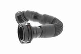 Hose, crankcase ventilation - V10-5461