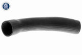 Charge Air Hose - V42-0589