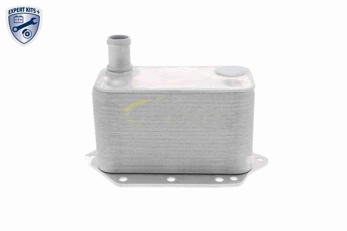 Oil Cooler, engine oil - V20-60-0042