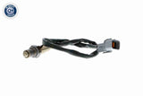 Oxygen Sensor - V53-76-0007