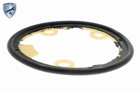 Oil Cooler, engine oil - V24-60-0021