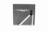 Evaporator, air conditioning - V10-65-0008