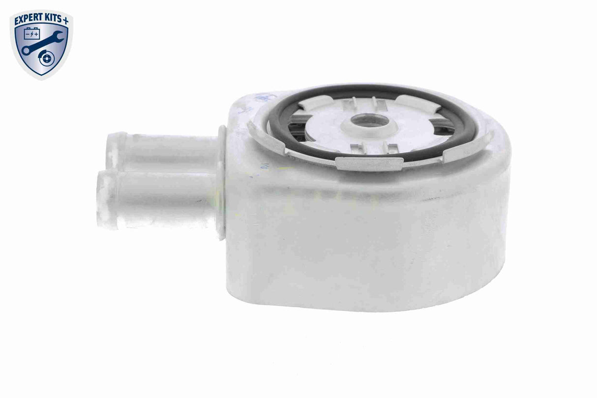 Oil Cooler, engine oil - V25-60-0034