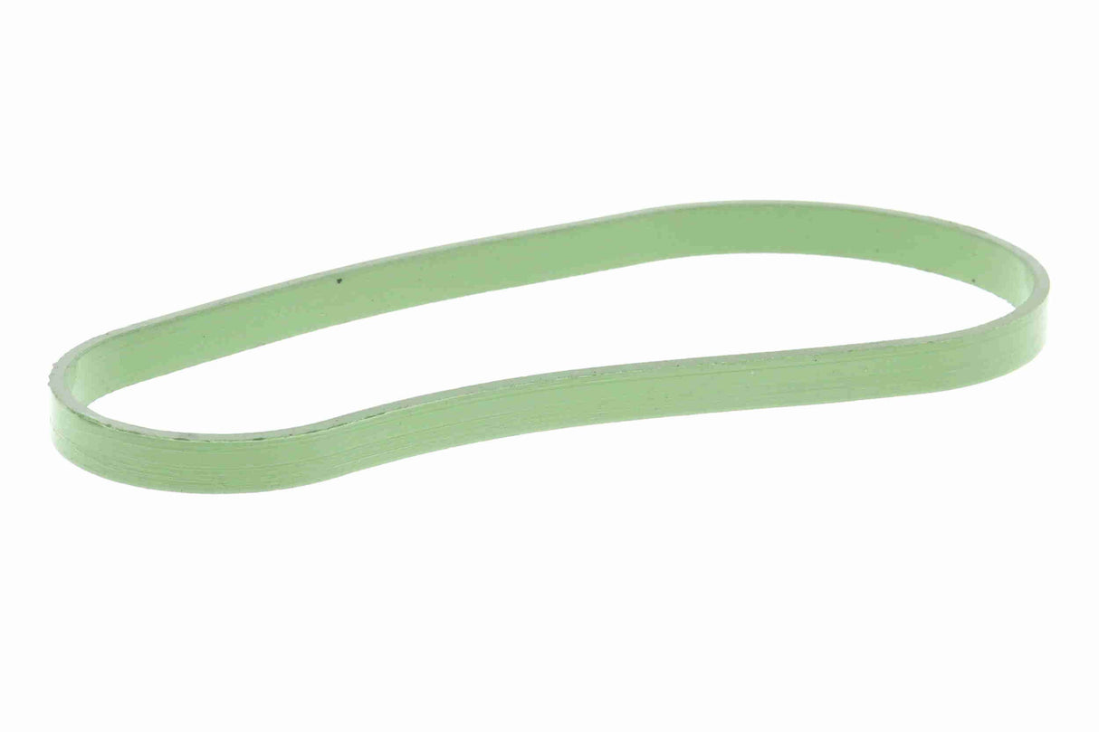Gasket, throttle body - V10-81-0131