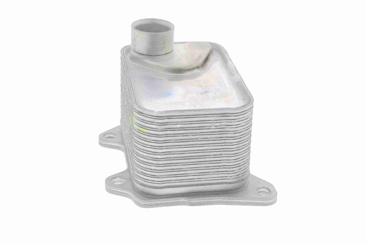 Oil Cooler, engine oil - V15-60-6068