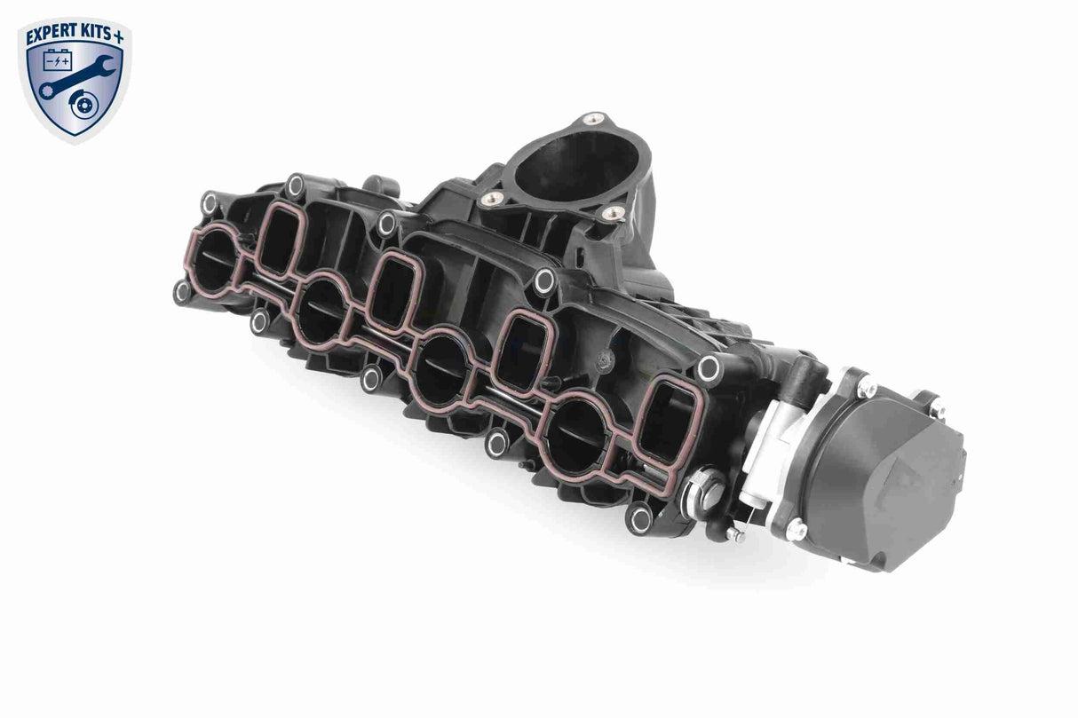 Intake Manifold Module - V10-5269