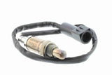 Oxygen Sensor - V25-76-0033
