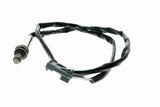 Oxygen Sensor - V95-76-0020