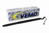 Electric Motor, tailgate - V10-55-0022
