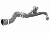 Radiator Hose - V20-2680
