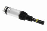Air Suspension Strut - V48-50-0017