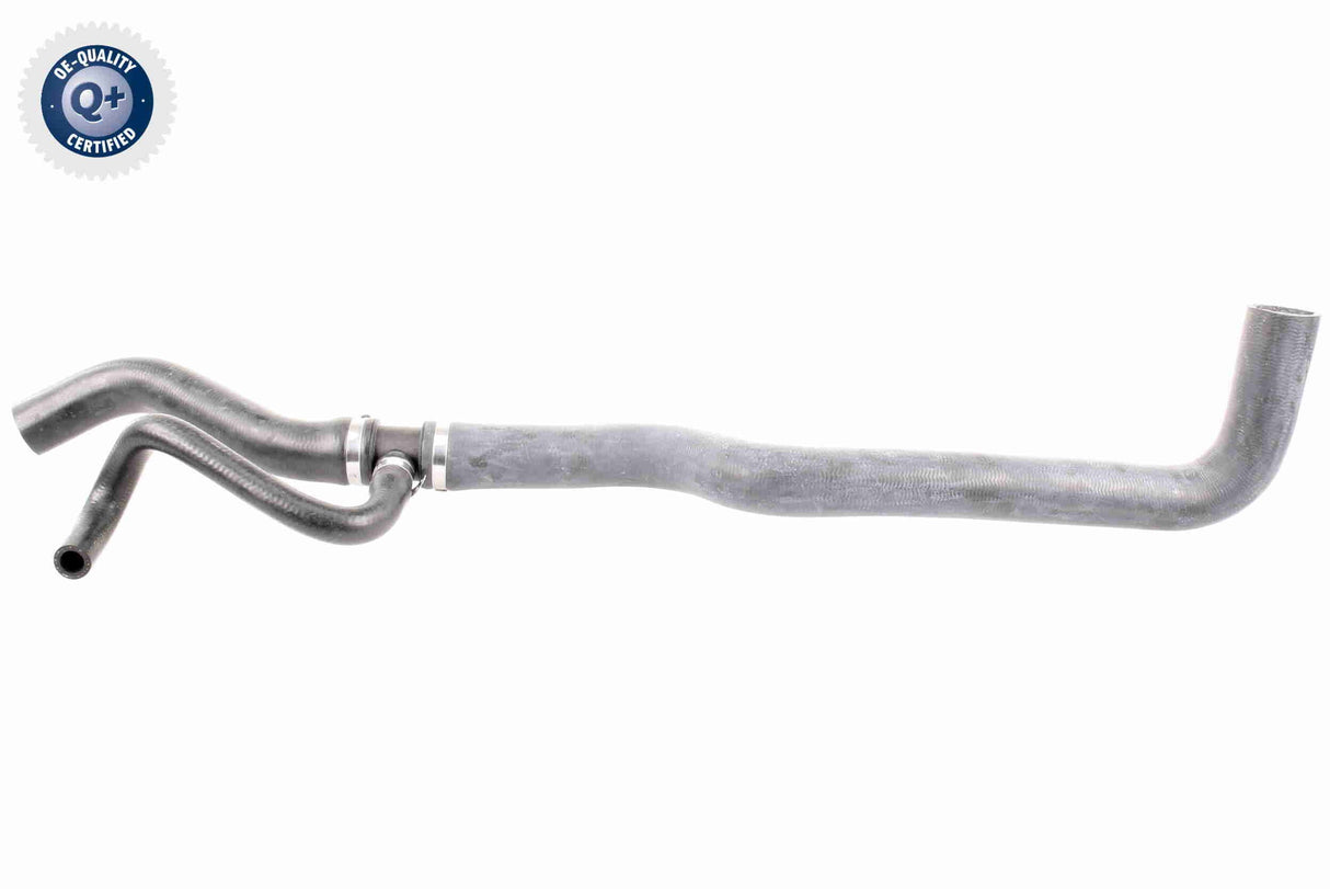 Radiator Hose - V24-0871