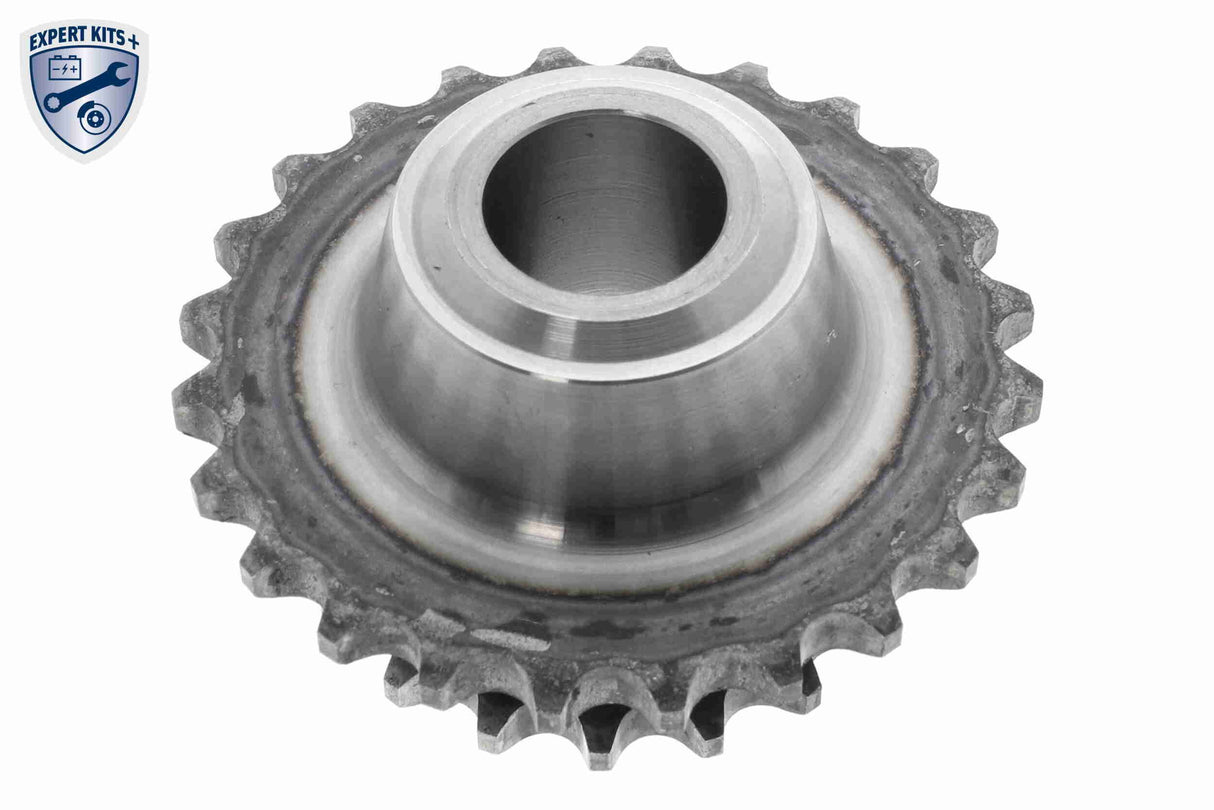 Timing Chain Kit - V20-10010