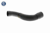 Charge Air Hose - V10-3831