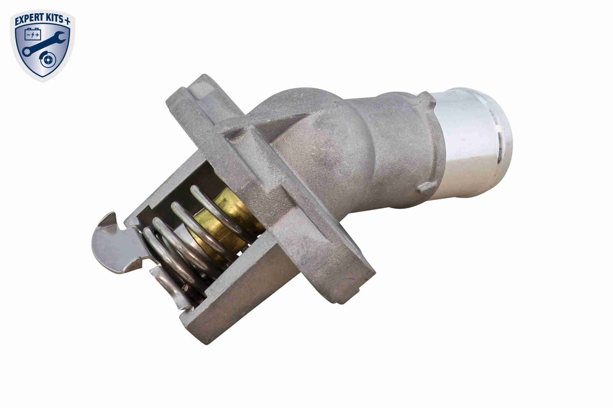 Oil Cooler, engine oil - V40-60-2129-1