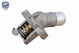 Oil Cooler, engine oil - V40-60-2129-1