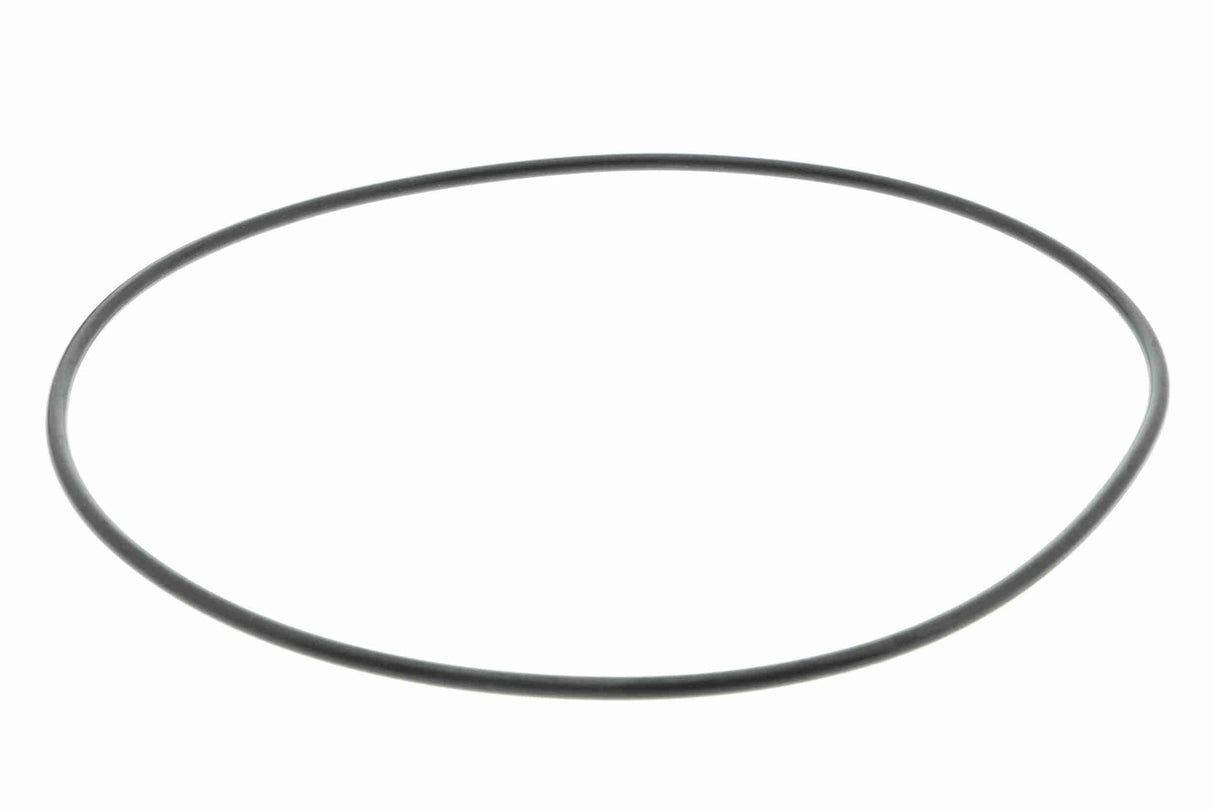 Water Pump, engine cooling - V10-50096