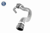 Radiator Hose - V20-2586