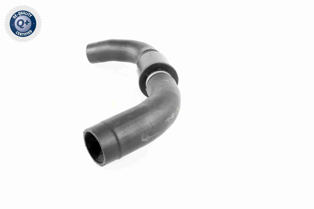 Radiator Hose - V25-1126