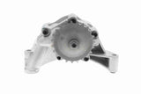 Oil Pump - V10-0829