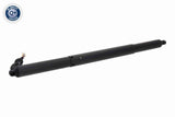 Electric Motor, tailgate - V10-55-0038