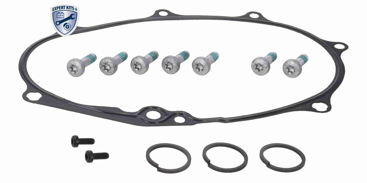 Repair Kit, camshaft adjustment - V10-6695