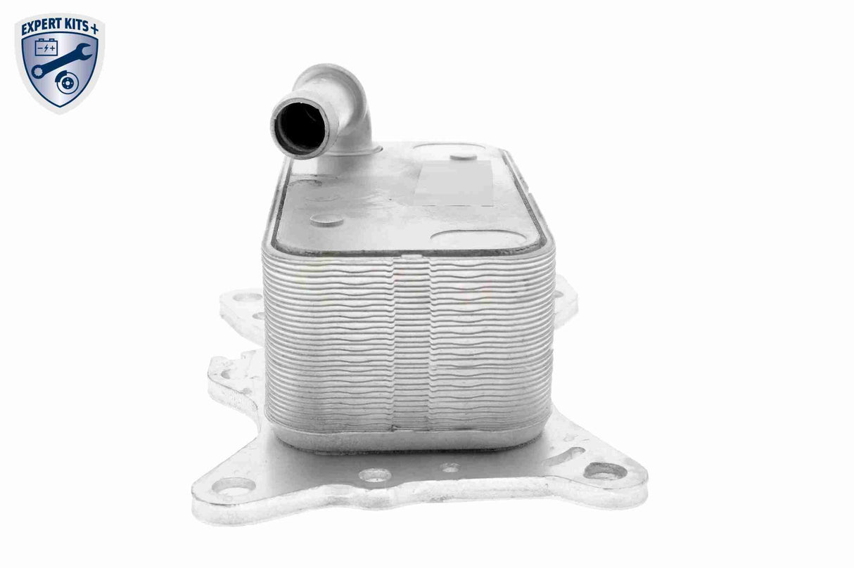 Oil Cooler, engine oil - V30-60-0007