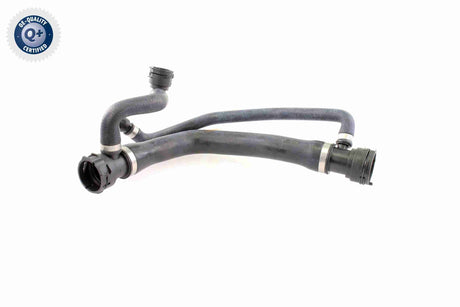 Radiator Hose - V20-1299