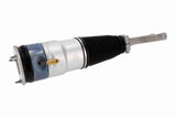 Air Suspension Strut - V58-50-0014