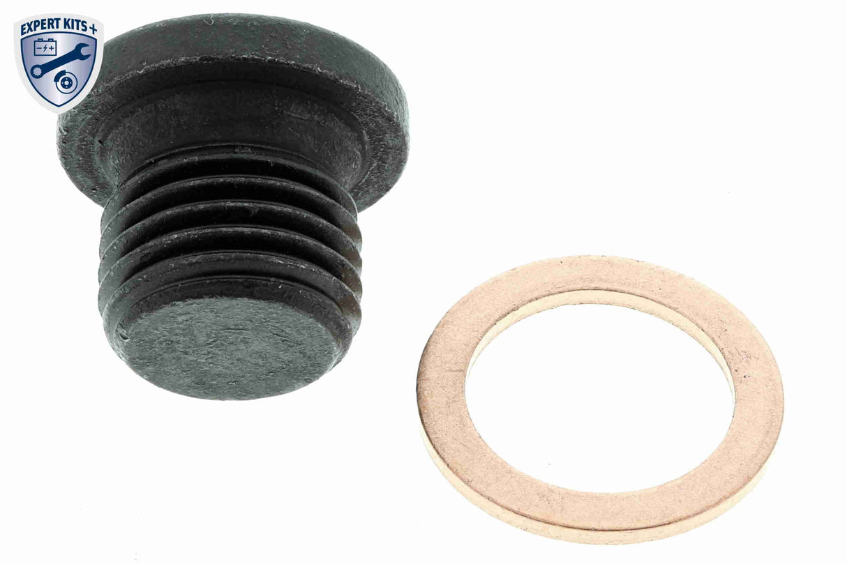 Oil Sump - V10-0873